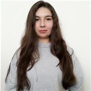 Dicto clases para matemáticas, lenguaje, ciencias naturales y sociales